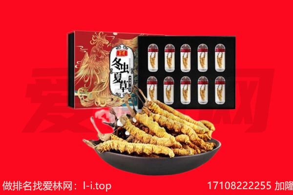 潍坊奎文区回收虫草.jpg